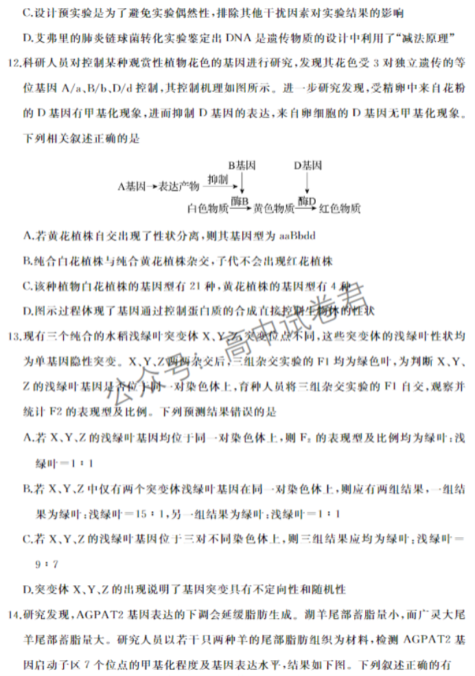 山东滕州市2024高三上学期期中考试生物试题及答案解析