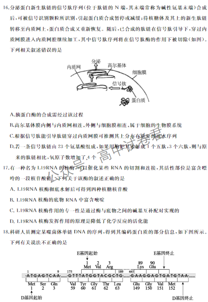 山东滕州市2024高三上学期期中考试生物试题及答案解析