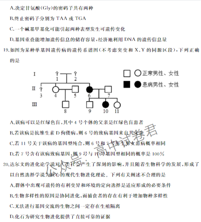 山东滕州市2024高三上学期期中考试生物试题及答案解析