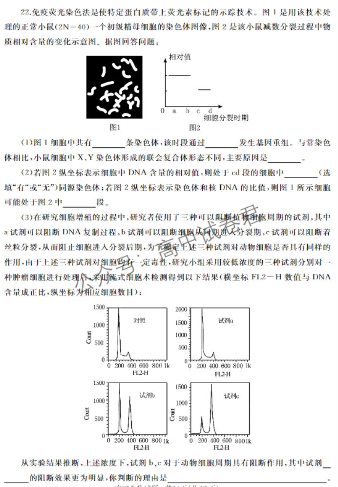 山东滕州市2024高三上学期期中考试生物试题及答案解析