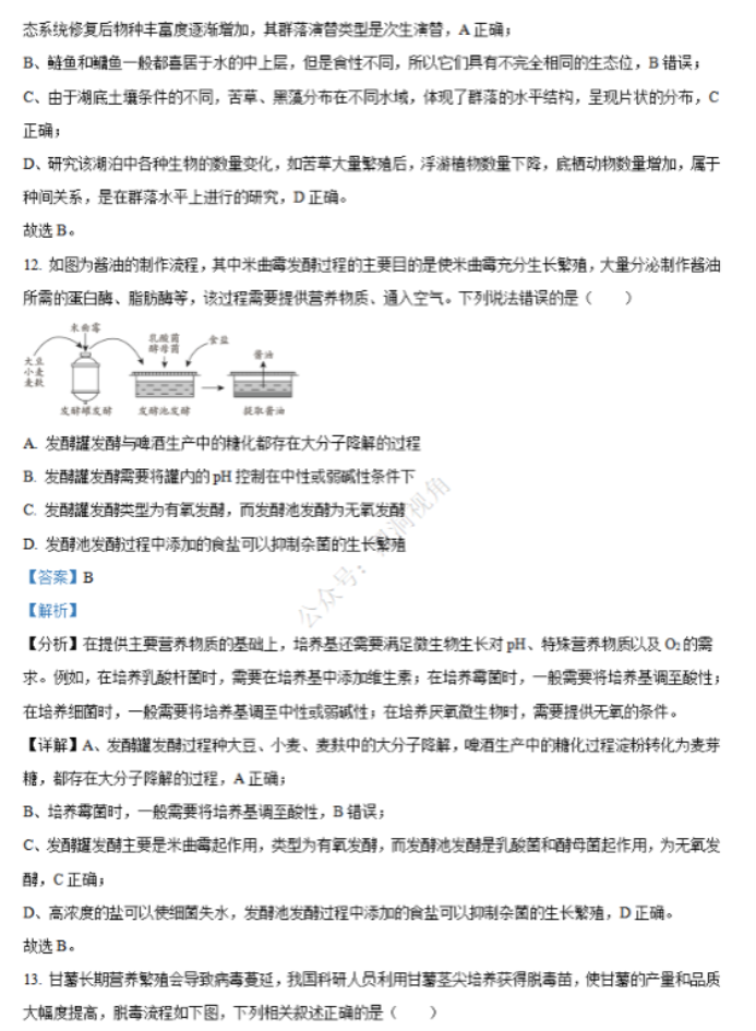 江苏省句容三中海安实中2024高三10月联考生物试题及答案