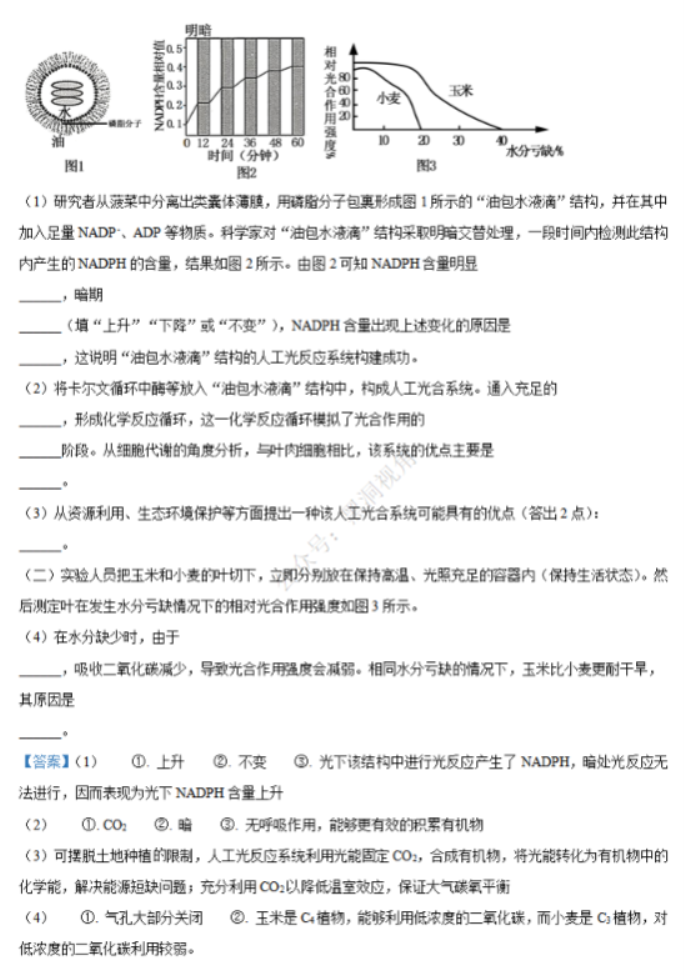 江苏省句容三中海安实中2024高三10月联考生物试题及答案