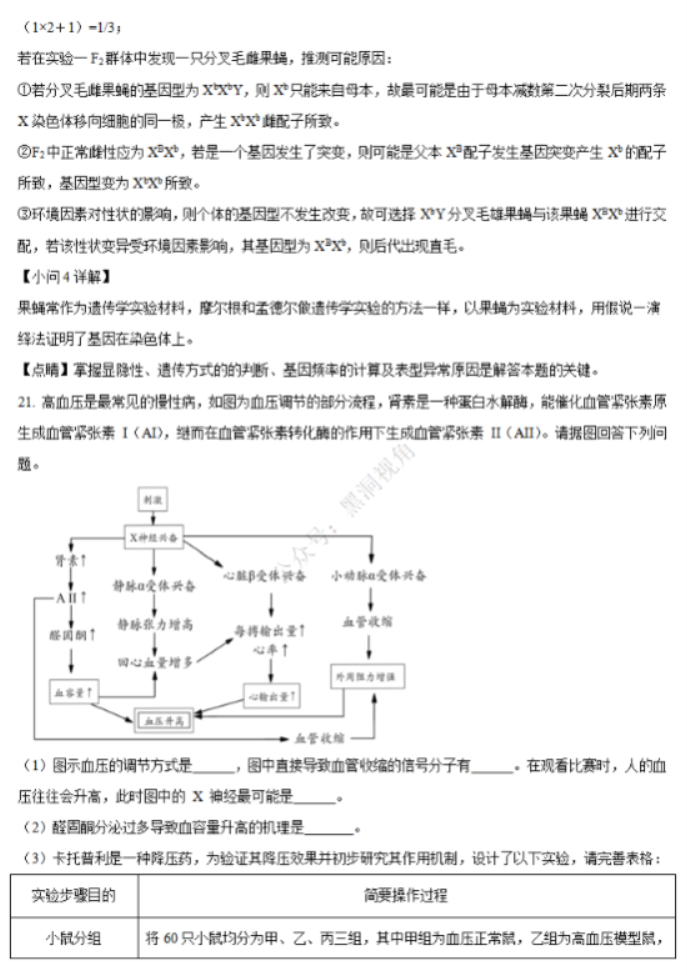 江苏省句容三中海安实中2024高三10月联考生物试题及答案