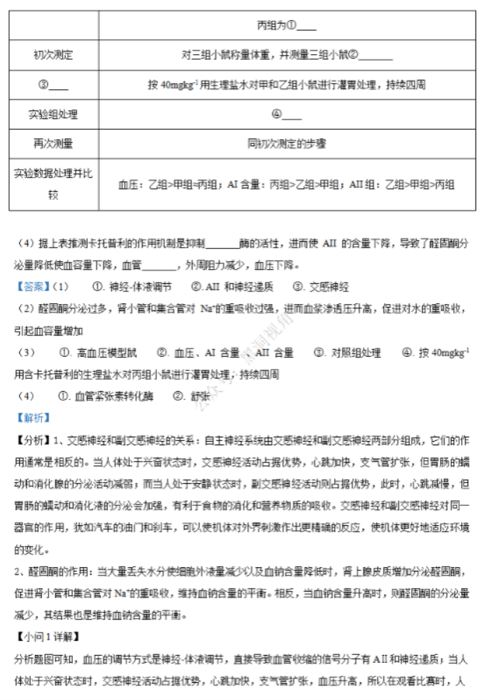 江苏省句容三中海安实中2024高三10月联考生物试题及答案