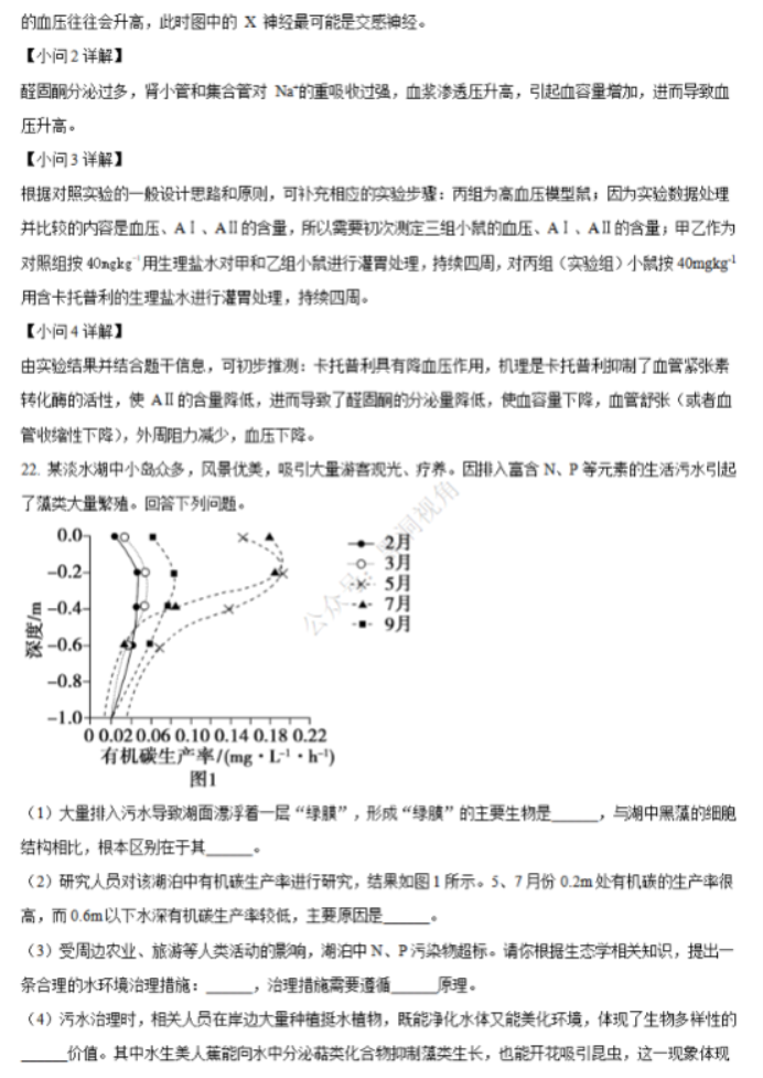 江苏省句容三中海安实中2024高三10月联考生物试题及答案