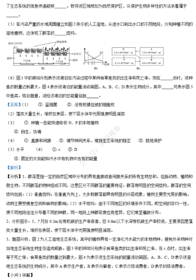 江苏省句容三中海安实中2024高三10月联考生物试题及答案