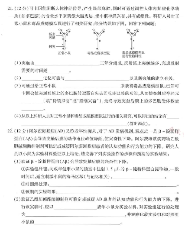 河南南阳市六校2024高二期中考试生物试题及答案解析