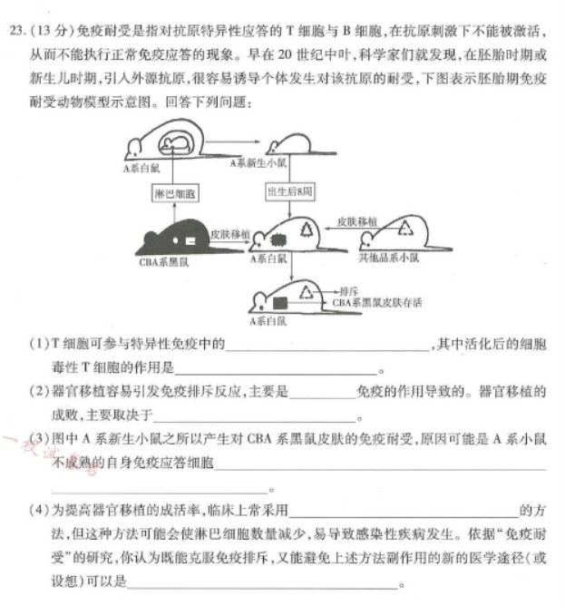 河南南阳市六校2024高二期中考试生物试题及答案解析