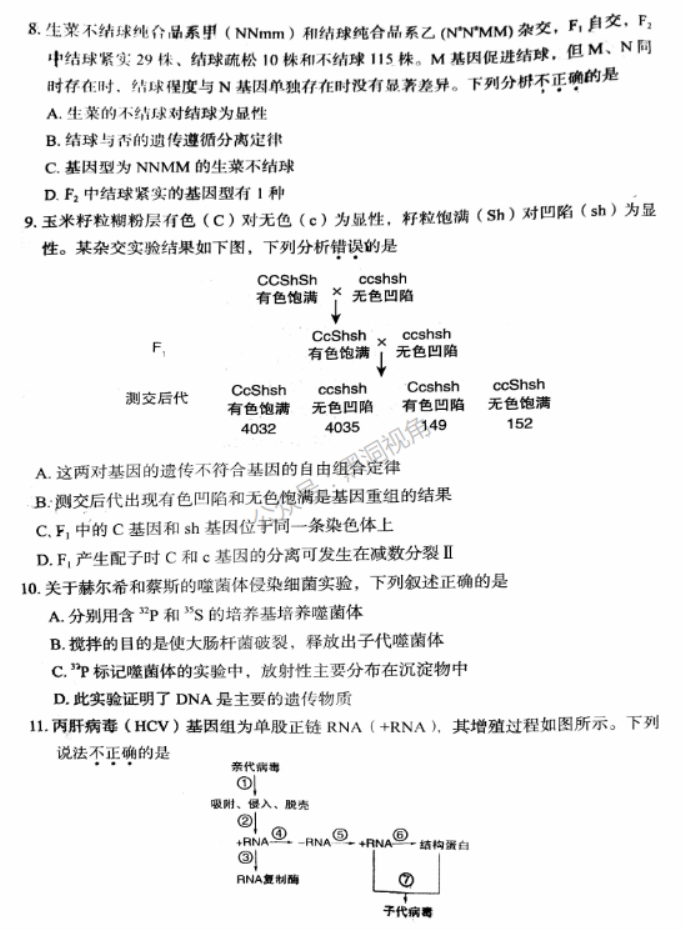 北京市丰台区2024高三11月期中考试生物试题及答案解析