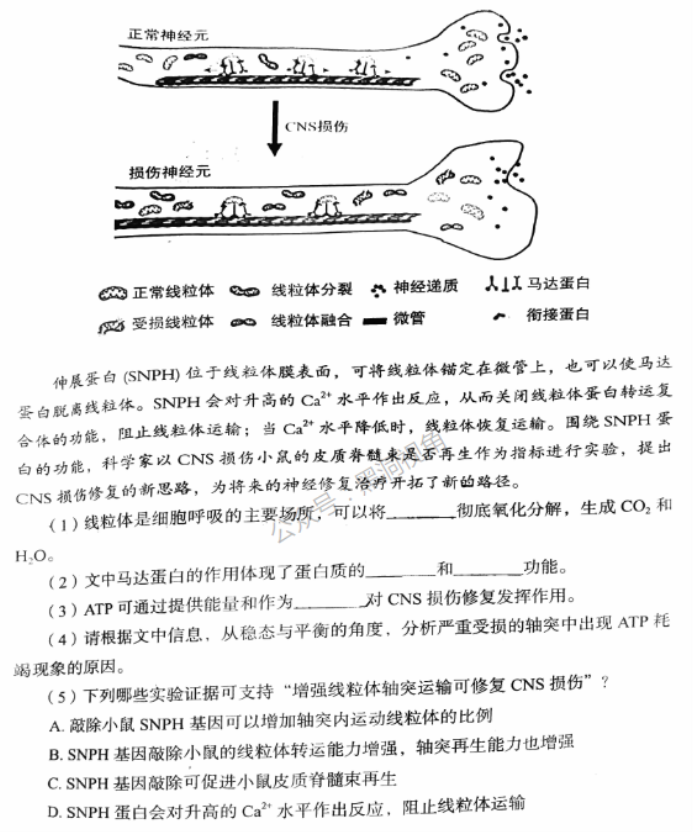 北京市丰台区2024高三11月期中考试生物试题及答案解析