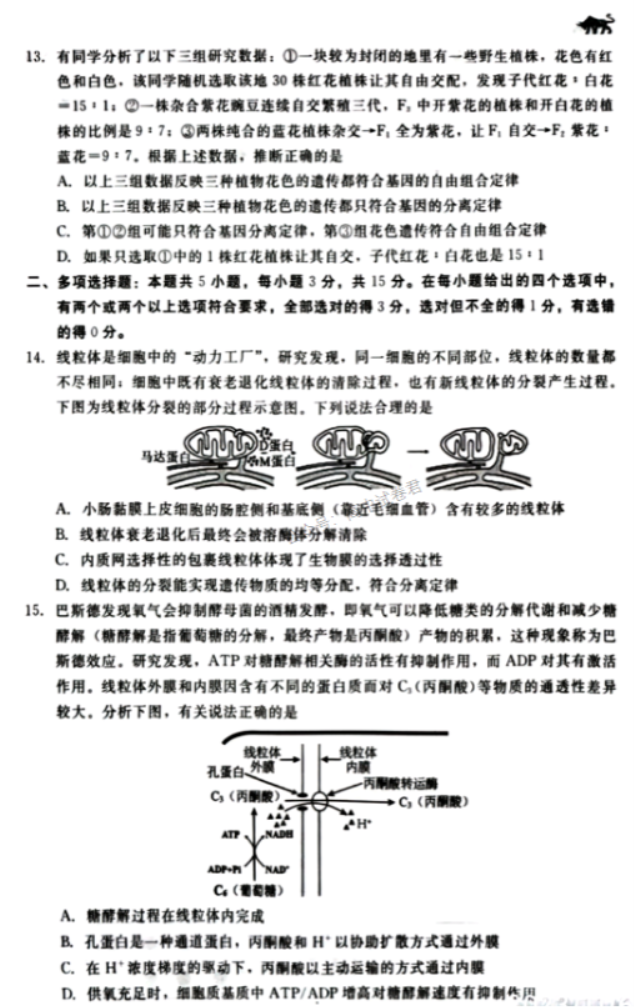 河北新时代NT教育2024高三11月阶段性测试生物试题及答案