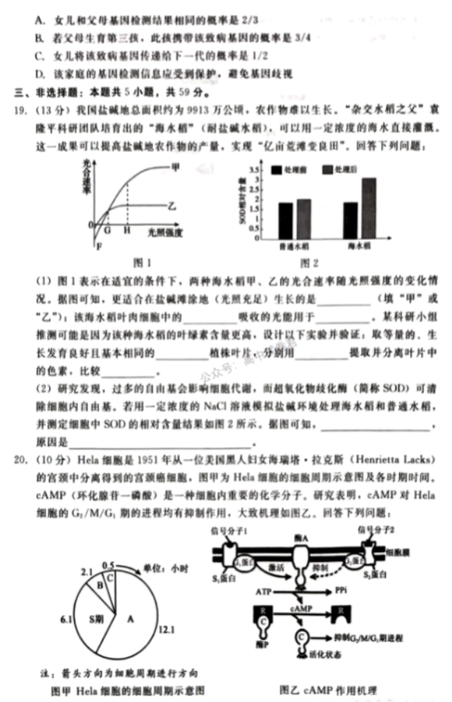 河北新时代NT教育2024高三11月阶段性测试生物试题及答案