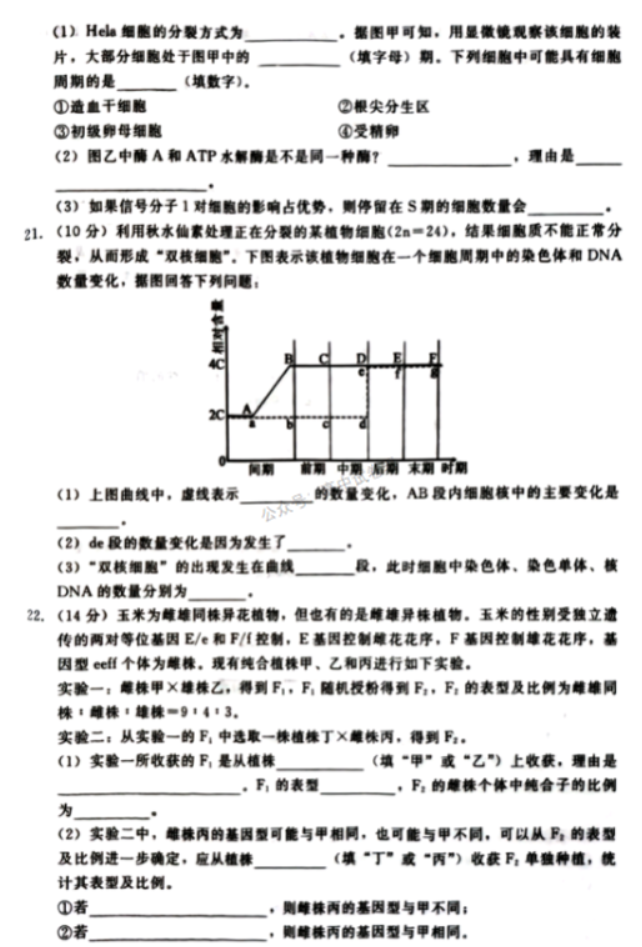 河北新时代NT教育2024高三11月阶段性测试生物试题及答案