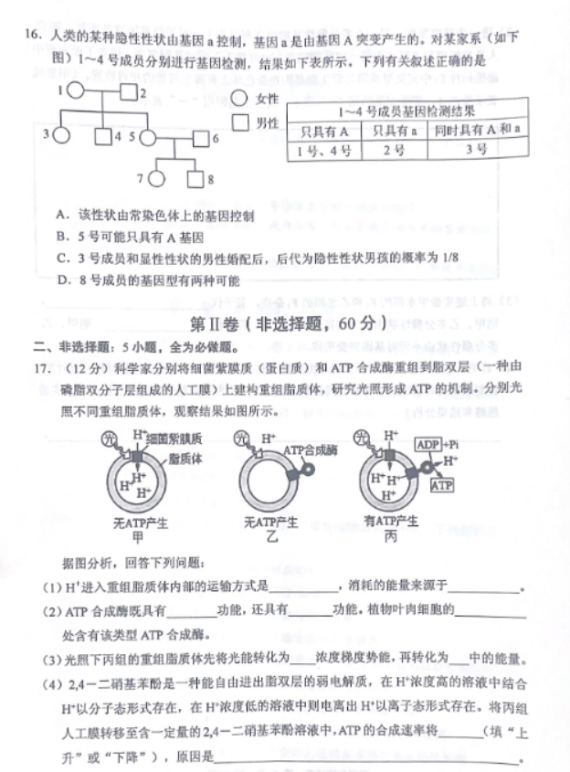 广东佛山顺德区2024高三教学质量检测一生物试题及答案解析