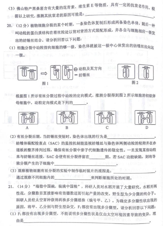 广东佛山顺德区2024高三教学质量检测一生物试题及答案解析