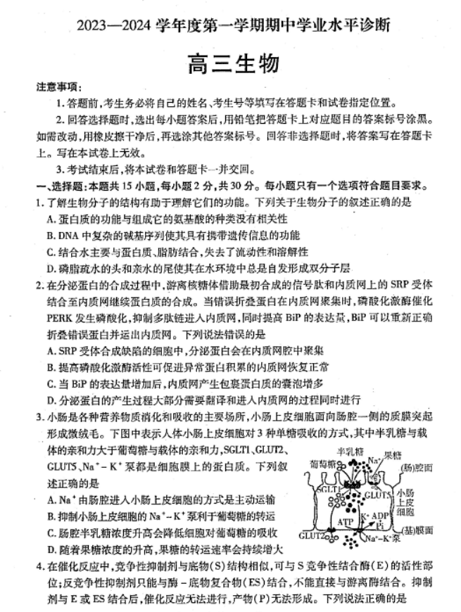 山东烟台2024高三11月期中考试生物试题及答案解析