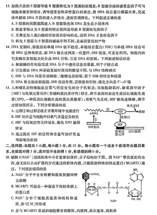 山东烟台2024高三11月期中考试生物试题及答案解析