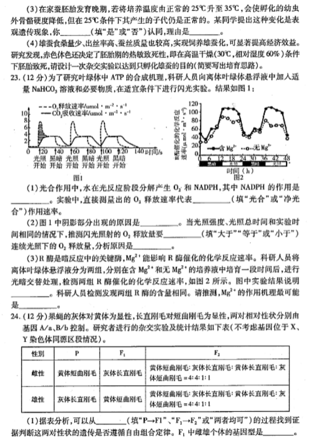 山东烟台2024高三11月期中考试生物试题及答案解析