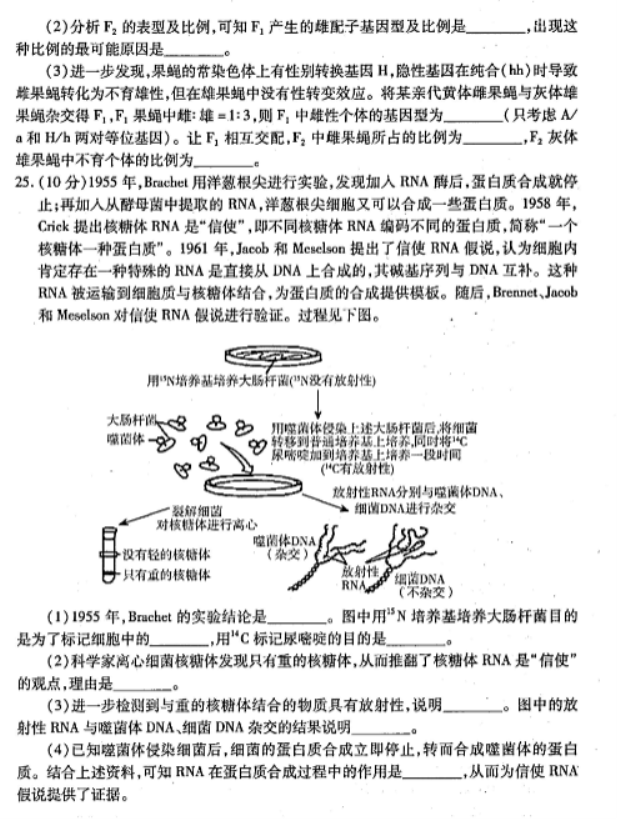 山东烟台2024高三11月期中考试生物试题及答案解析