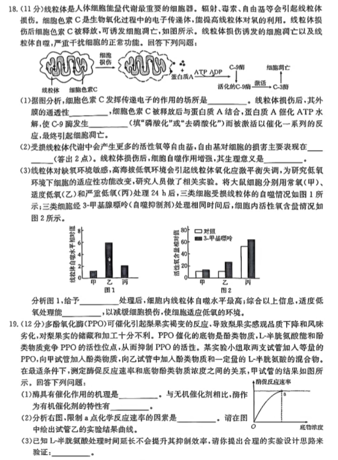 江西赣州18县23校2024高三期中联考生物试题及答案解析