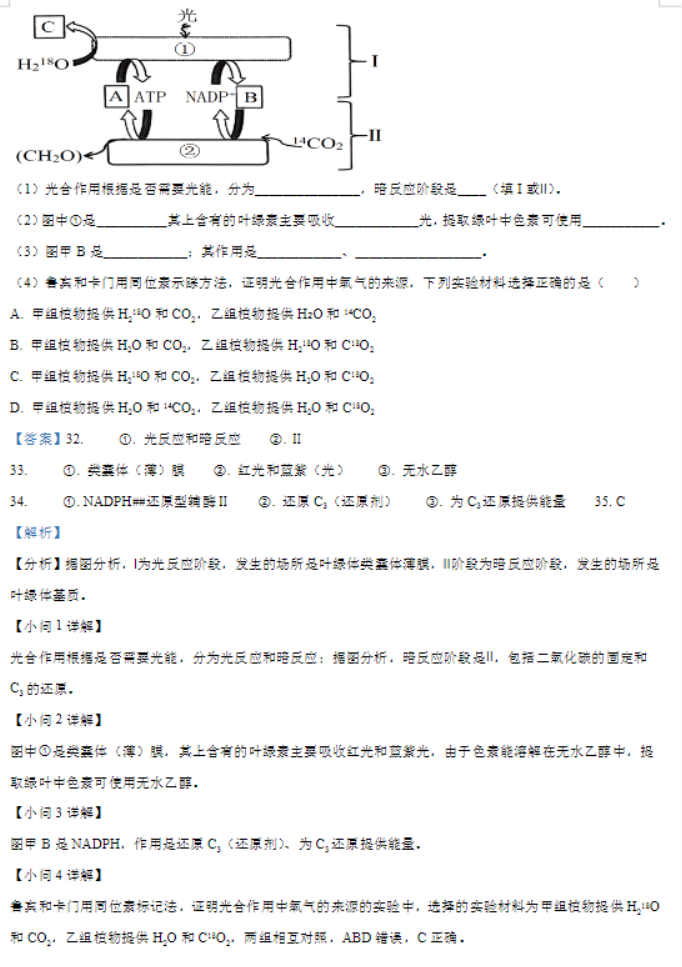 甘肃武威凉州区2024高三11月三诊考试生物试题及答案解析