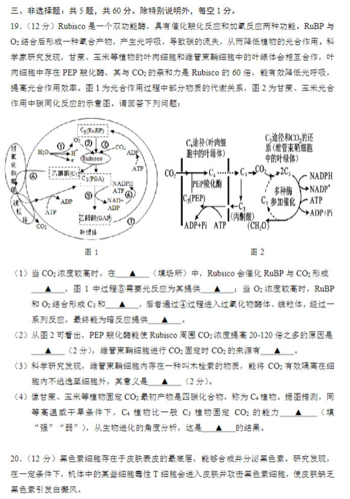 江苏省苏州四市五区2024高三期中考试生物试题及答案解析