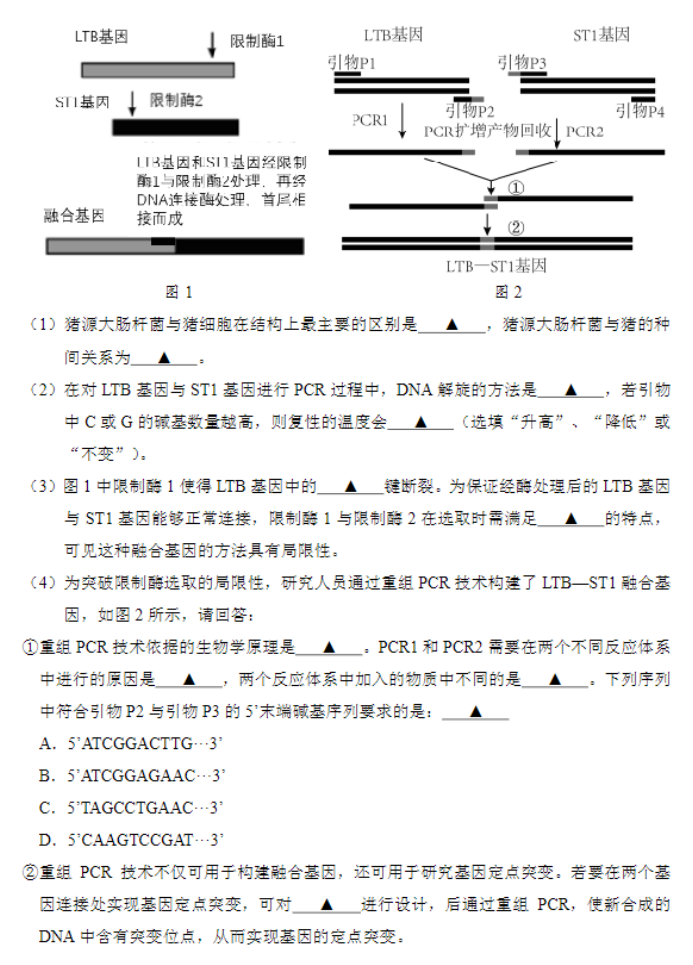 江苏省苏州四市五区2024高三期中考试生物试题及答案解析