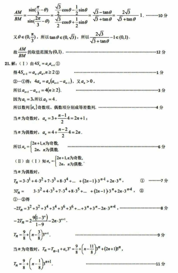 山东济宁市2024高三11月期中考试数学试题及答案解析