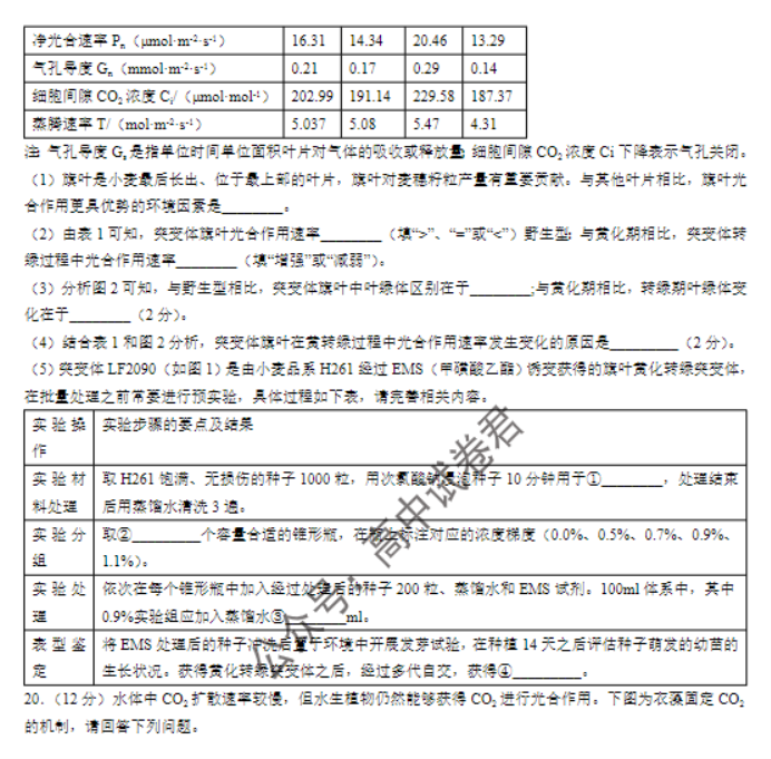 江苏常州2024高三上学期11月期中考试生物试题及答案解析
