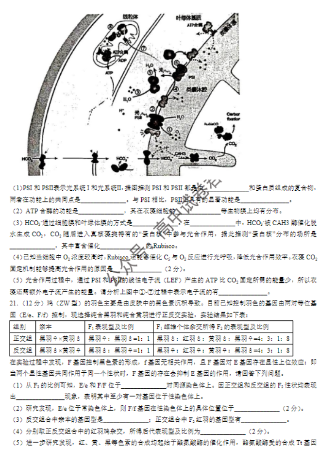 江苏常州2024高三上学期11月期中考试生物试题及答案解析