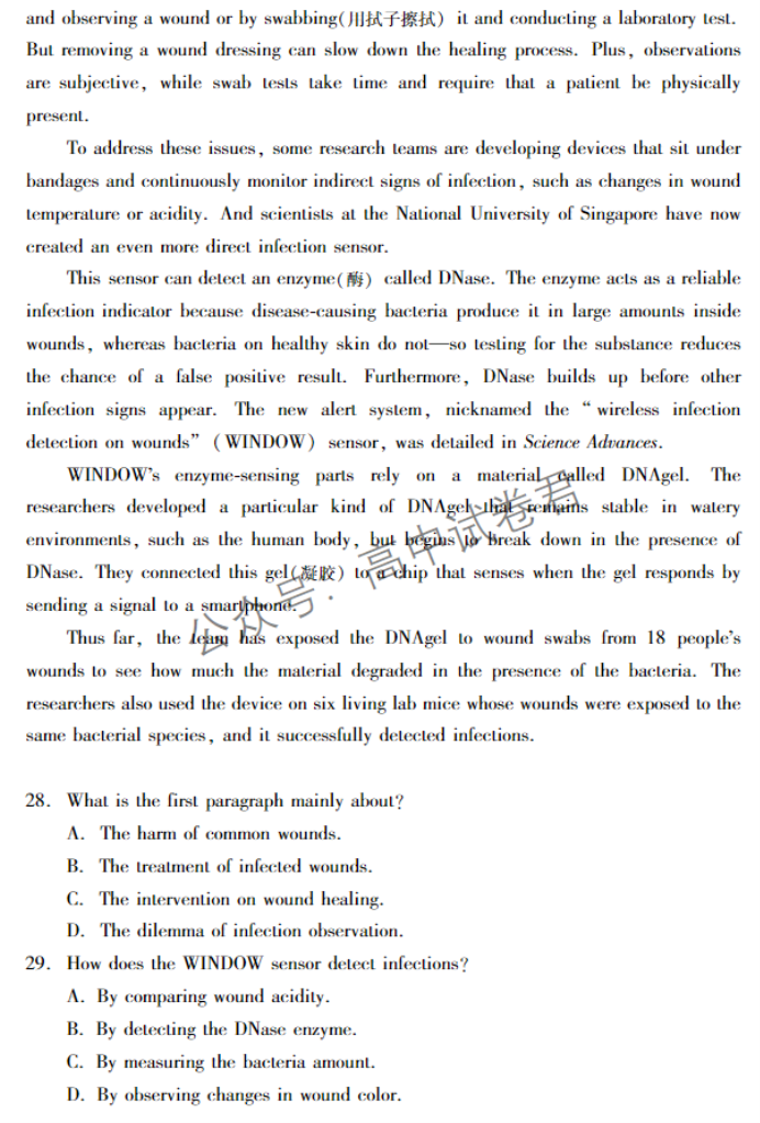 广东肇庆2024高三上学期一模考试英语试题及答案解析