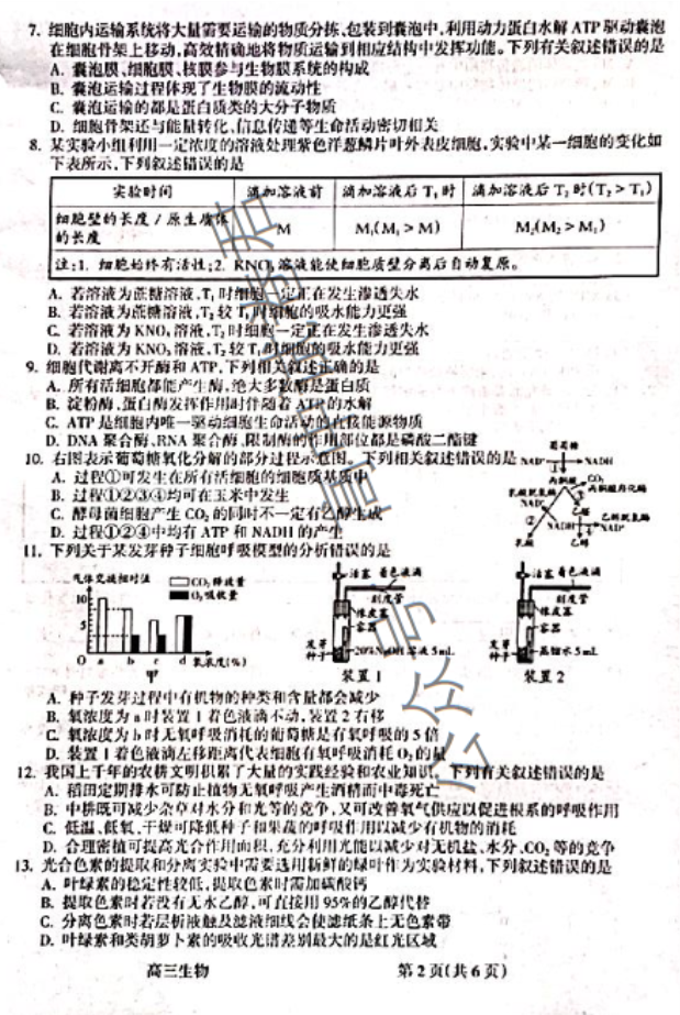 山西吕梁市2024高三一模阶段性测试生物试题及答案解析