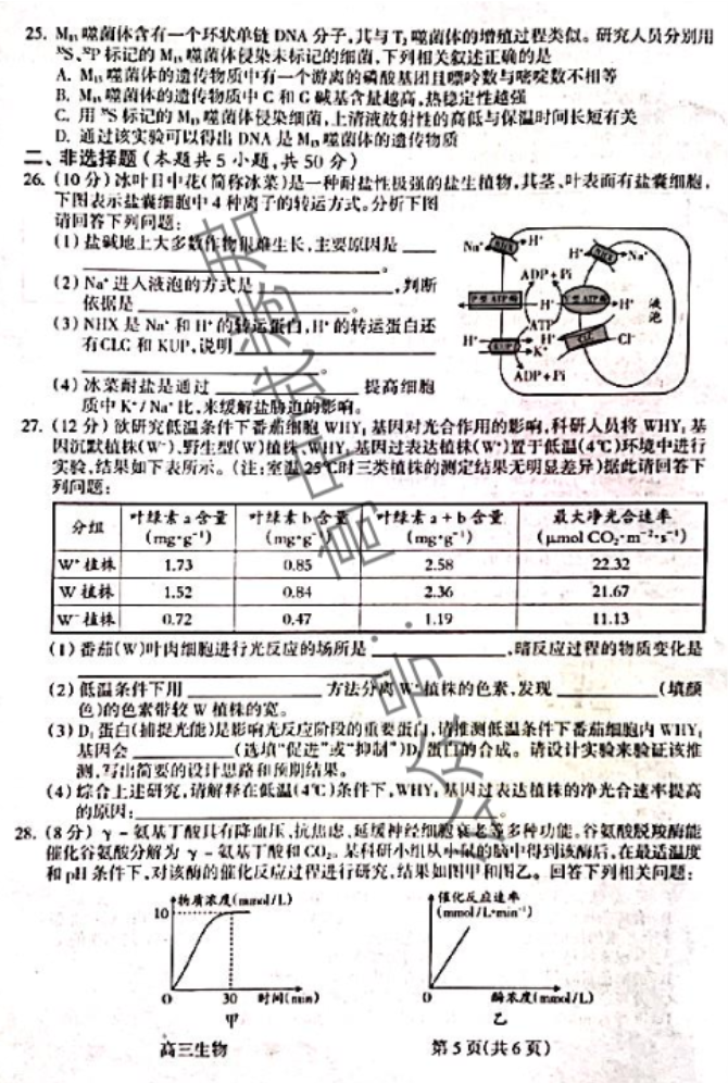 山西吕梁市2024高三一模阶段性测试生物试题及答案解析