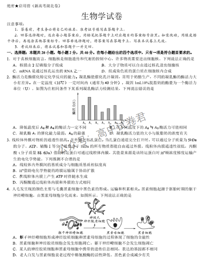 湖北名校联考2024高三11月期中考试生物试题及答案解析