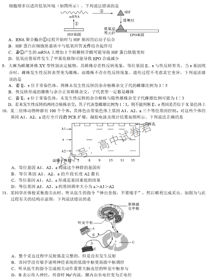 湖北名校联考2024高三11月期中考试生物试题及答案解析