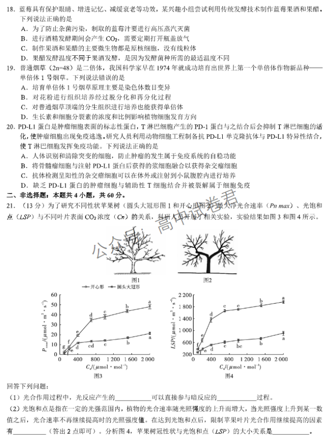 湖北名校联考2024高三11月期中考试生物试题及答案解析