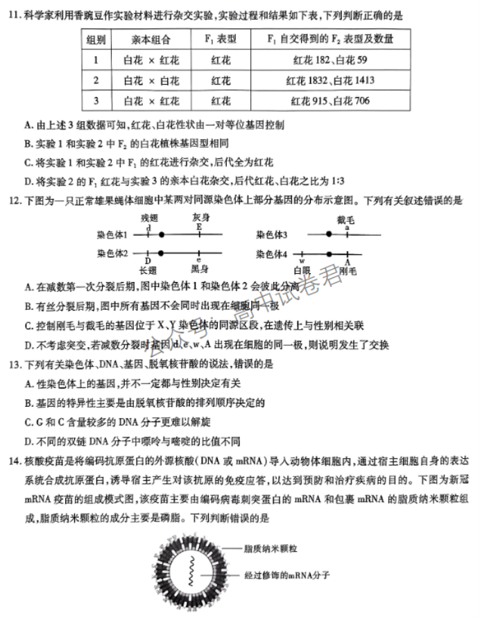 安徽江淮十校2024高三第二次联考生物试题及答案解析