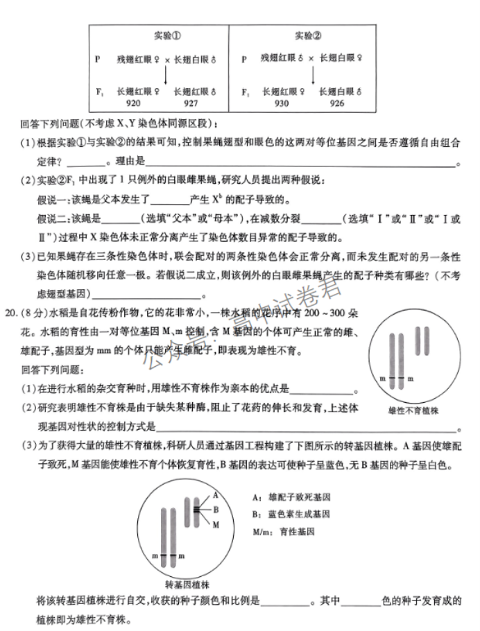 安徽江淮十校2024高三第二次联考生物试题及答案解析