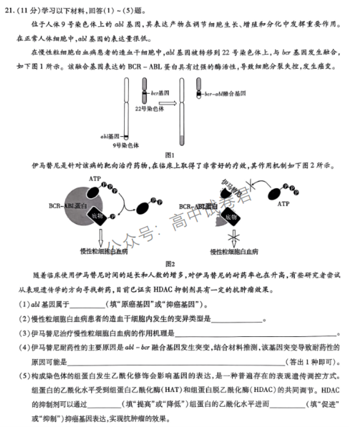 安徽江淮十校2024高三第二次联考生物试题及答案解析