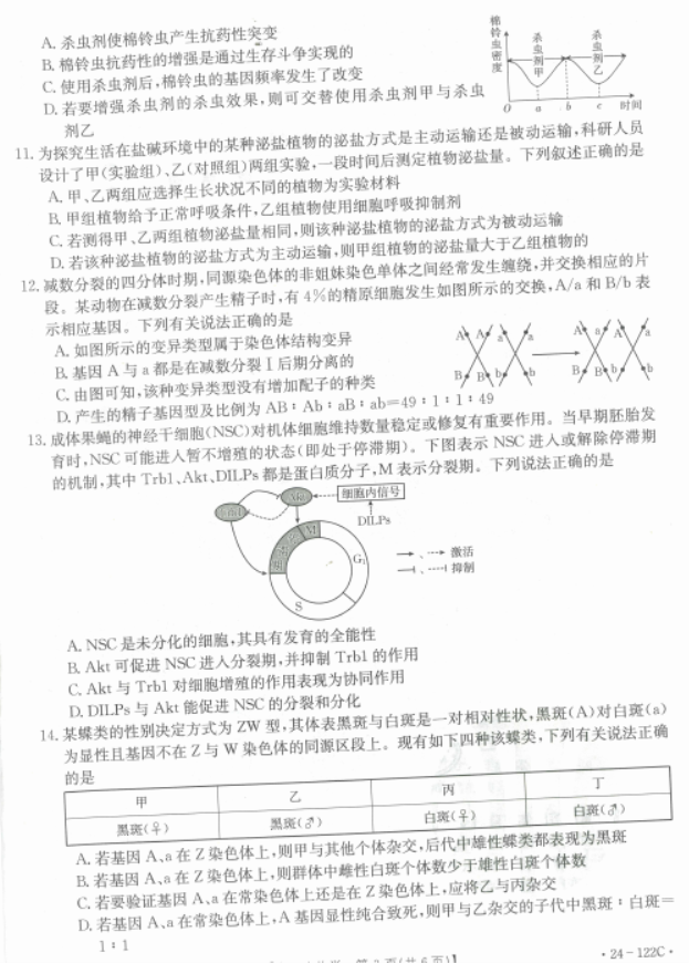 福建宁德金太阳2024高三期中质量检测生物试题及答案解析