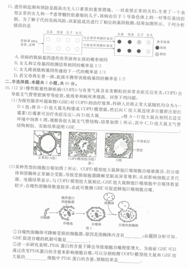 福建宁德金太阳2024高三期中质量检测生物试题及答案解析