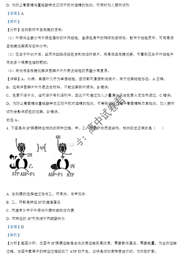 江苏无锡2024高三11月期中考试生物试题及答案解析