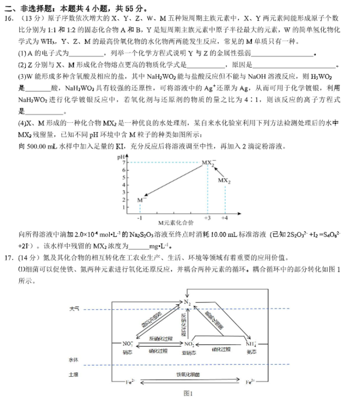 安徽徽师联盟2024高三11月质量检测化学试题及答案解析