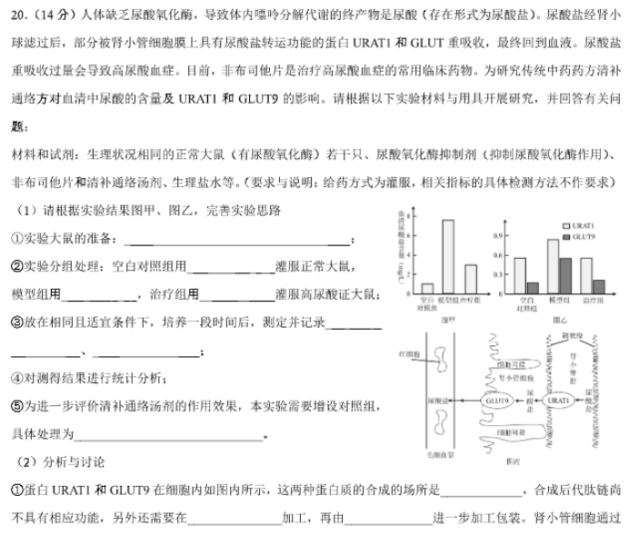 安徽徽师联盟2024高三11月质量检测生物试题及答案解析