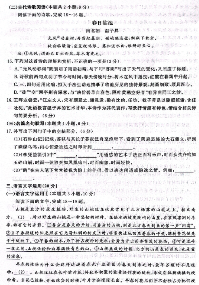 山东名校***2024高三期中检测语文试题及答案解析