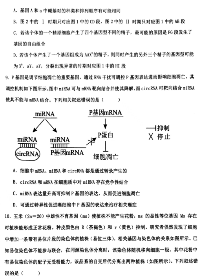 辽宁锦州2024高三11月第三次考试生物试题及答案解析