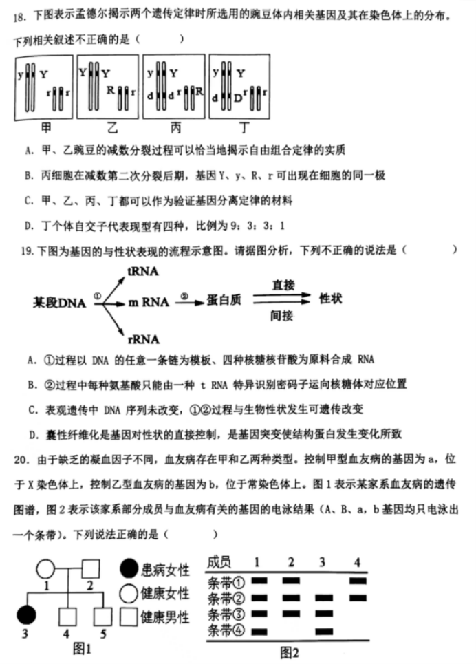 辽宁锦州2024高三11月第三次考试生物试题及答案解析