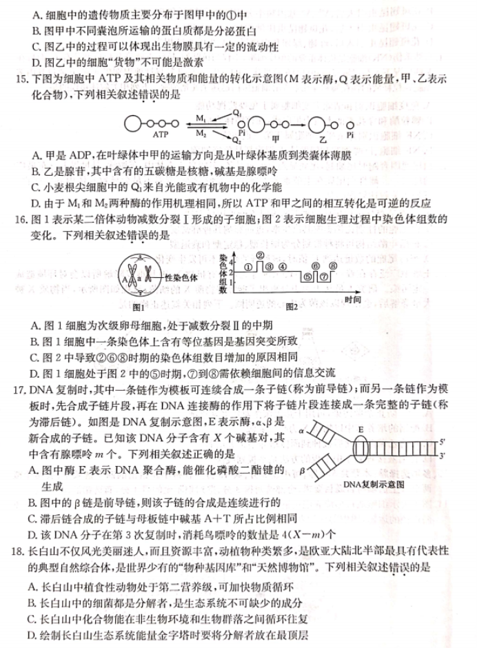 河北沧州三县联考2024高三11月月考生物试题及答案解析