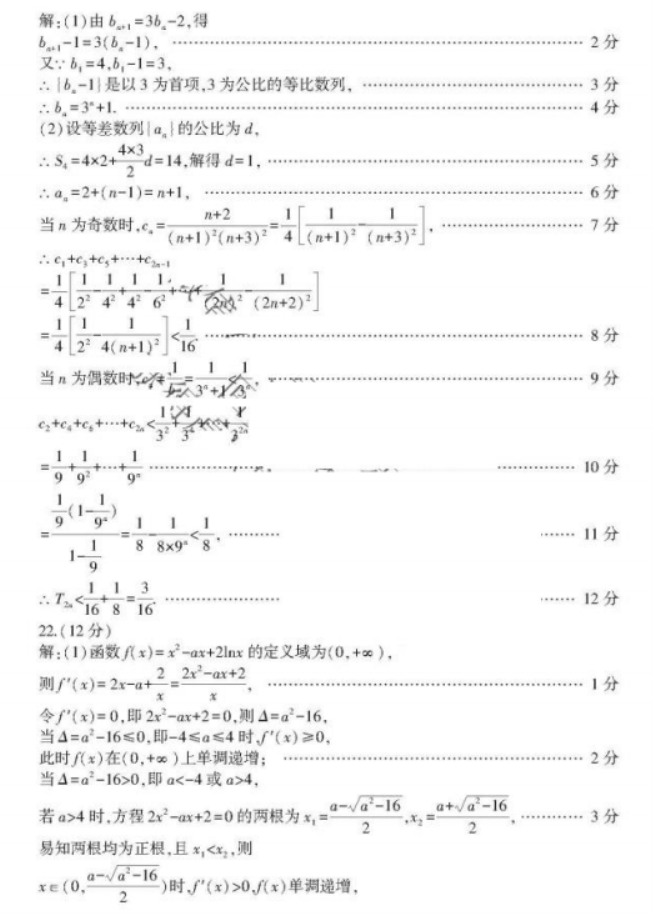 山东临沂市2024高三上学期期中考试数学试题及答案解析