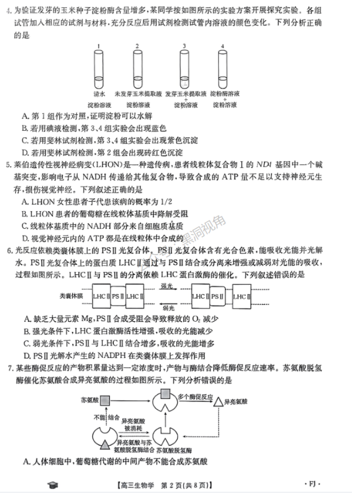 福建金太阳2024高三11月联考(120C)生物试题及答案解析